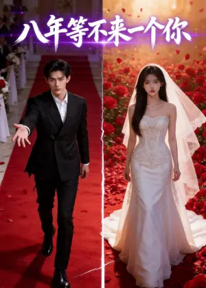 八年等不来一个你海报
