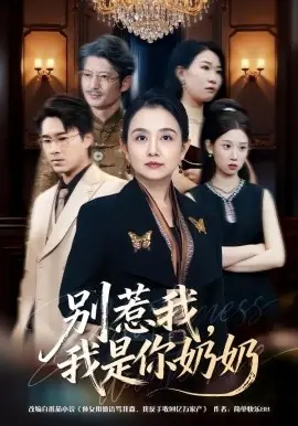 别惹我,我是你奶奶海报