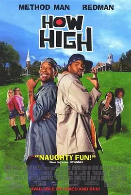 High到哈佛HowHigh海报