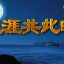 天涯共此时海报