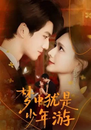 梦中犹是少年游海报