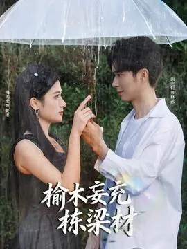 榆木妄充栋梁材海报