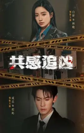 共感追凶海报
