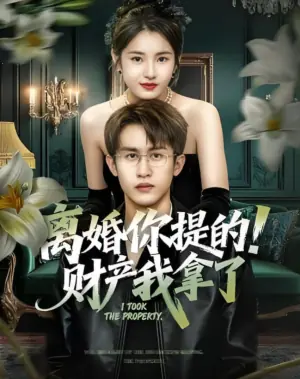 离婚你提的!财产我拿了海报