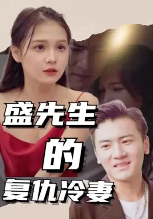 盛先生的复仇冷妻海报