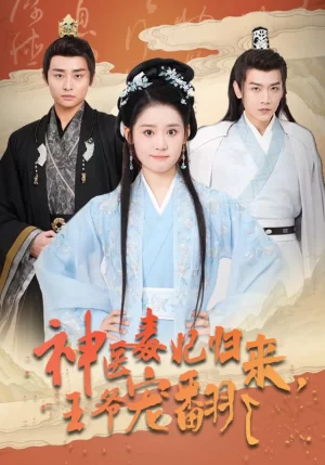 神医毒妃归来,王爷宠翻了海报