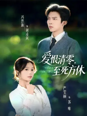 爱恨清零,至死方休海报