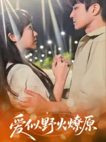 爱似野火燎原海报