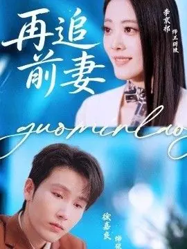 再追前妻海报