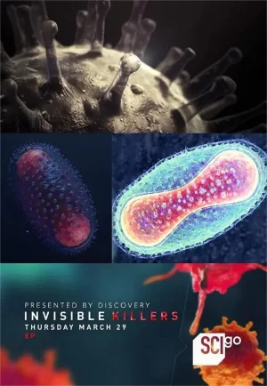 隐形杀手海报