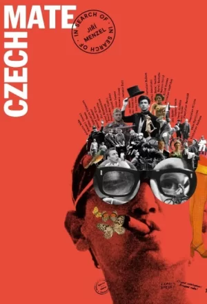 捷克伙伴:寻找伊日·门泽尔海报