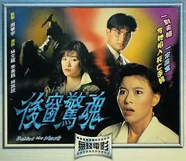 后窗惊魂(粤语)海报