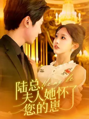 陆总,夫人她怀了您的崽海报