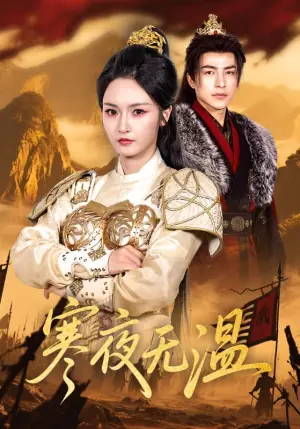 寒夜无温海报