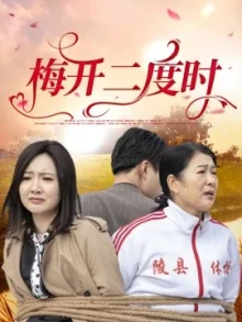 梅开二度时海报