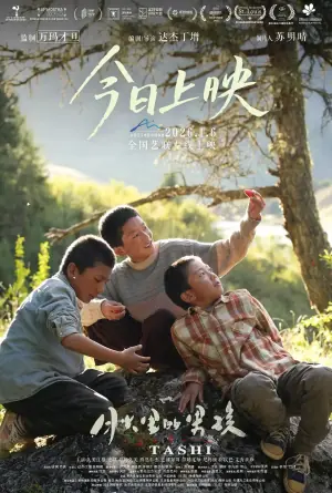 月光里的男孩海报