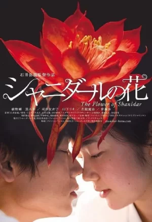 沙尼达尔之花海报