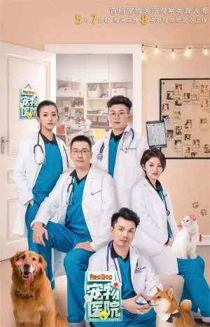 宠物医院第一季海报