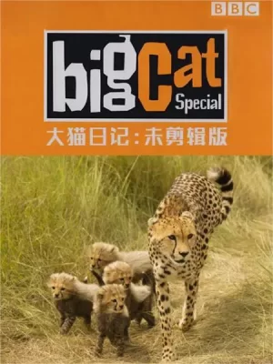 大猫日记未剪辑版海报