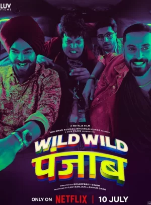 狂野分手团海报