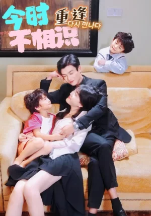 今时重逢不相识海报