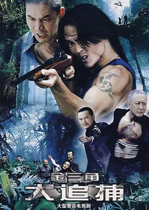 大追捕海报