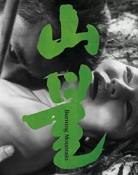 山火[电影解说]海报