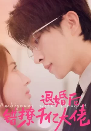 退婚后错撩千亿大佬海报