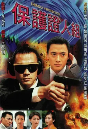 保护证人组海报