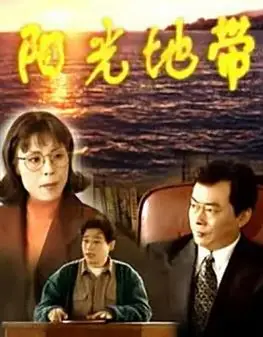 阳光地带海报