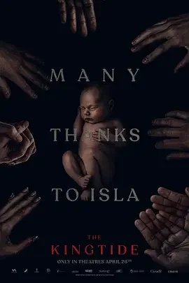 王潮[电影解说]海报