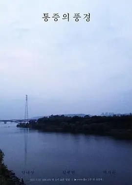 疼痛的风景[电影解说]海报