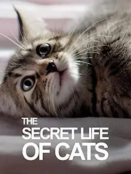 BBC地平线:猫的秘密生活海报