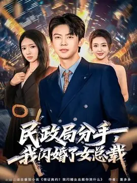 民政局分手,我闪婚了女总裁海报
