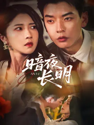 暗夜长明海报