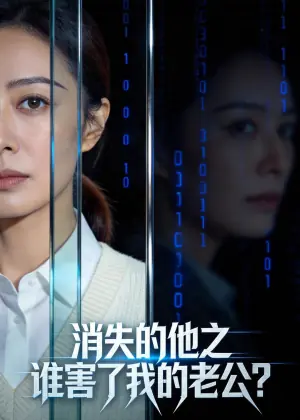 消失的他之谁害了我的老公海报