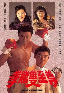 拳赌双至尊(国语)海报