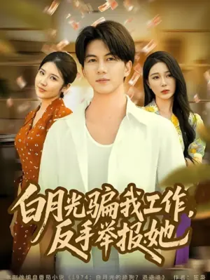 白月光骗我工作,反手举报她海报