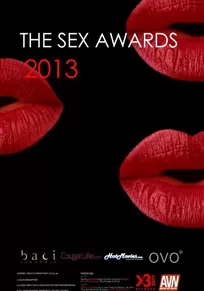 2013艳星颁奖典礼海报