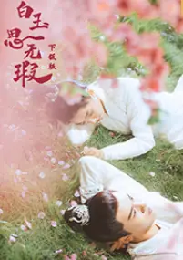 白玉思无瑕下饭版海报