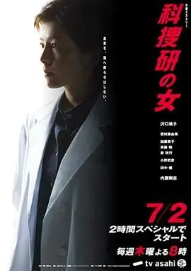 科搜研之女第九季海报