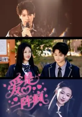 爱是一阵疯海报