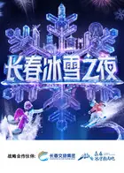长春冰雪之夜海报