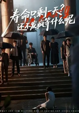 寿命只剩一天,还不发疯等什么呢海报