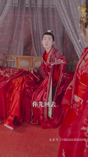 我真不是昏君啊海报