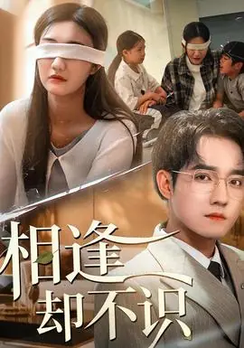 相逢却不识海报