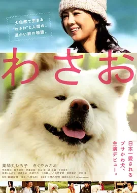 秋田犬蓬夫海报