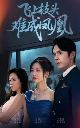 飞上枝头难成凤凰海报