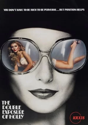 冬青的双重曝光海报