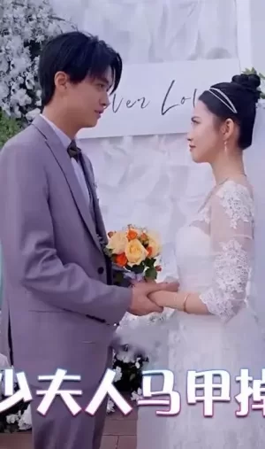 晏少夫人马甲掉了海报